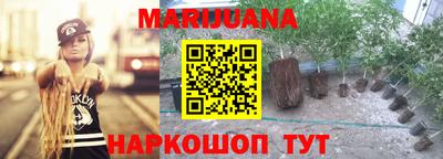 шишки Надым