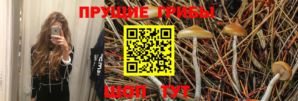 Псилоцибиновые грибы MAGIC MUSHROOMS  Вход с VPN  Киров 