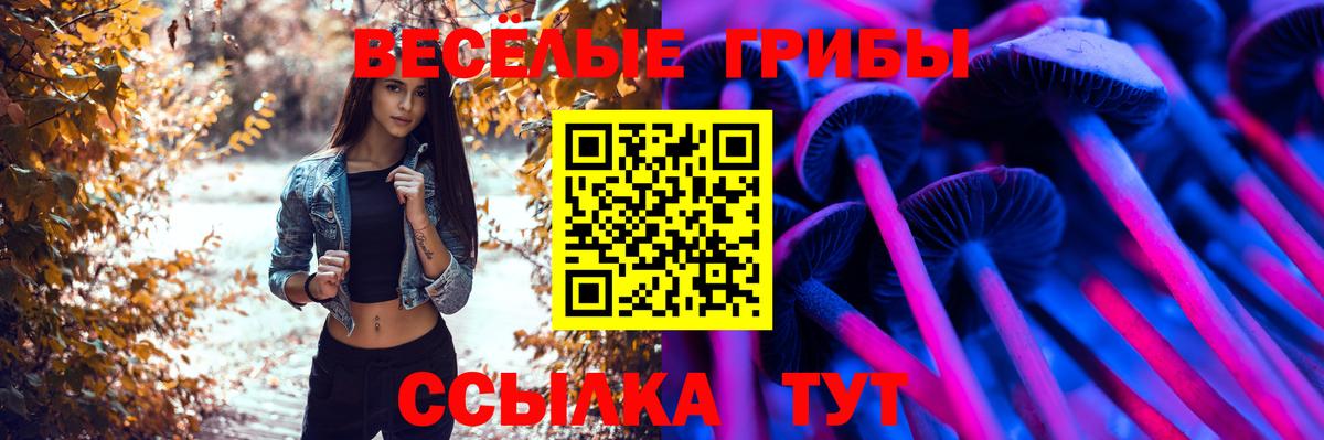 Псилоцибиновые грибы мицелий Киров